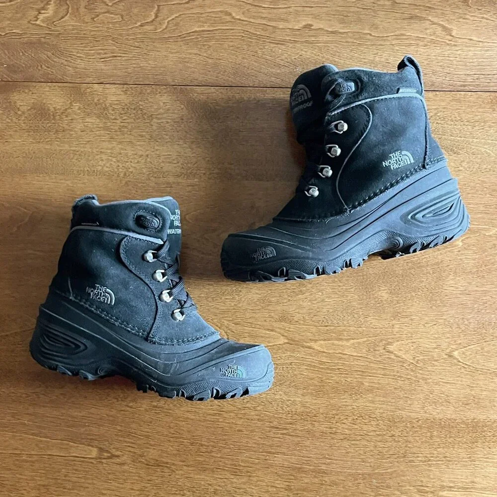 The North Face north face